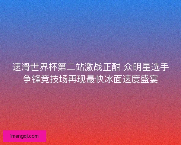 速滑世界杯第二站激战正酣 众明星选手争锋竞技场再现最快冰面速度盛宴